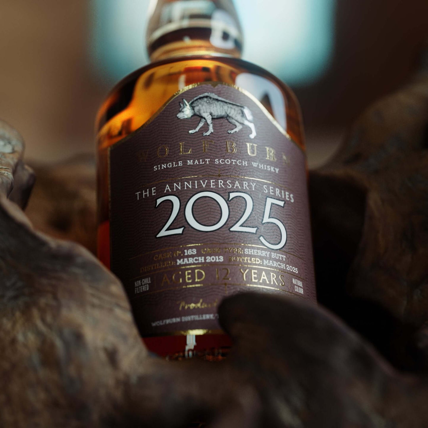 2025 Anniversary Series resting on drift wood