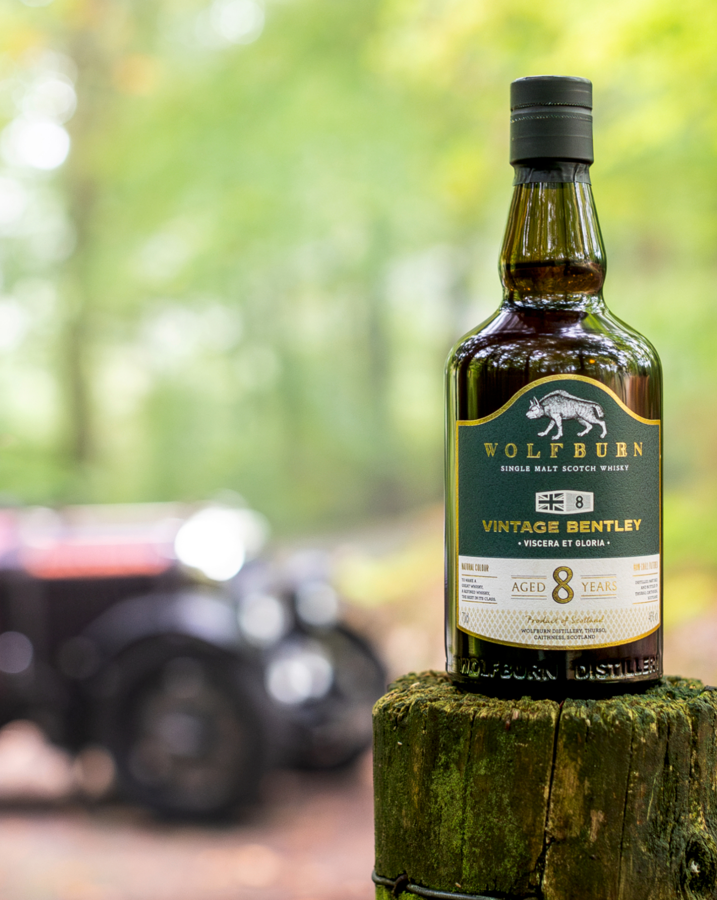 Wolfburn Vintage Bentley 8 – Premium Scottish single malt whisky, 70cl, 46% ABV. Perfectly aged for a smooth, refined taste, ideal for whisky aficionados.