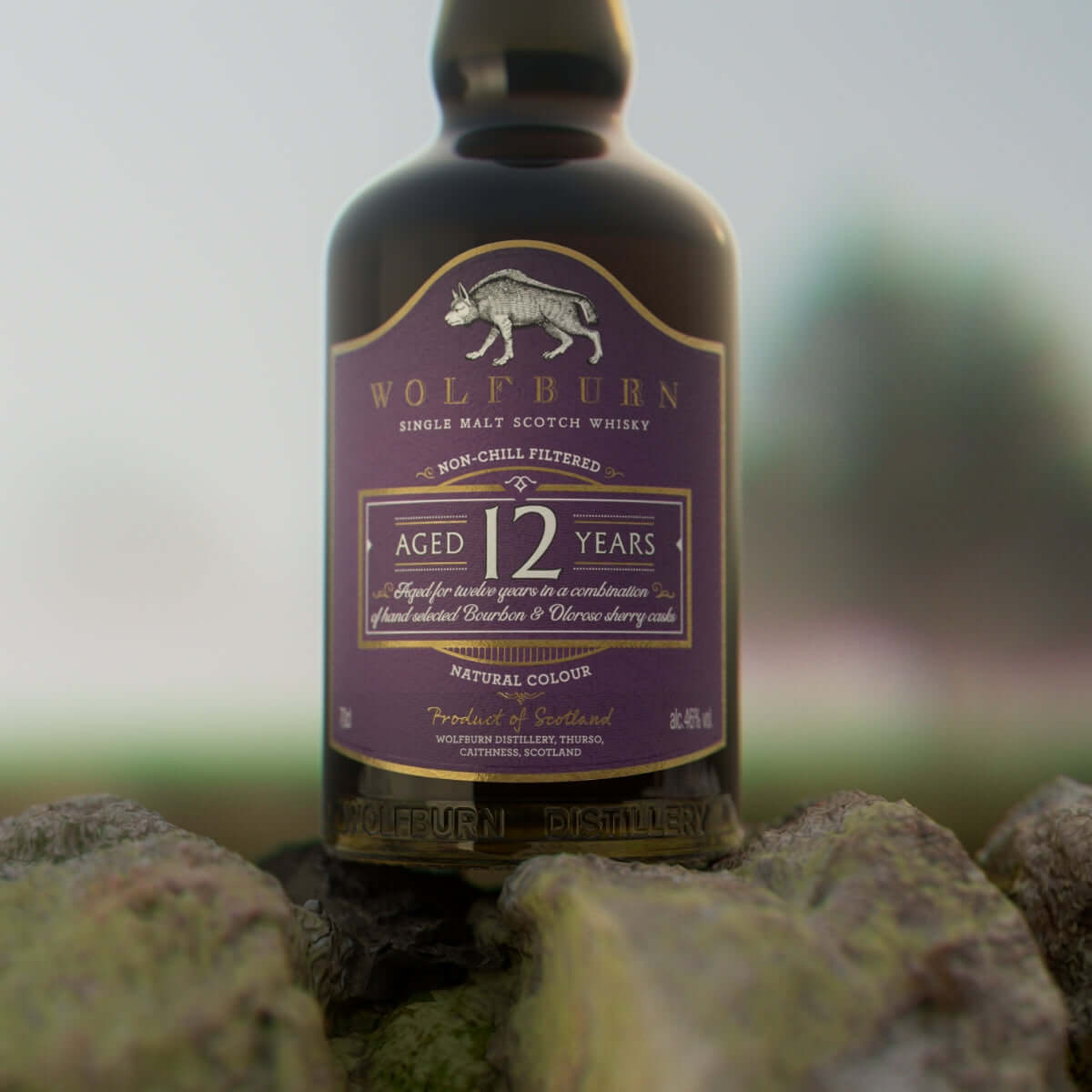 12 Year Old Single Malt Scotch Whisky bottle from Wolfburn, aged 12 years, non-chill filtered, showcasing its rich character.