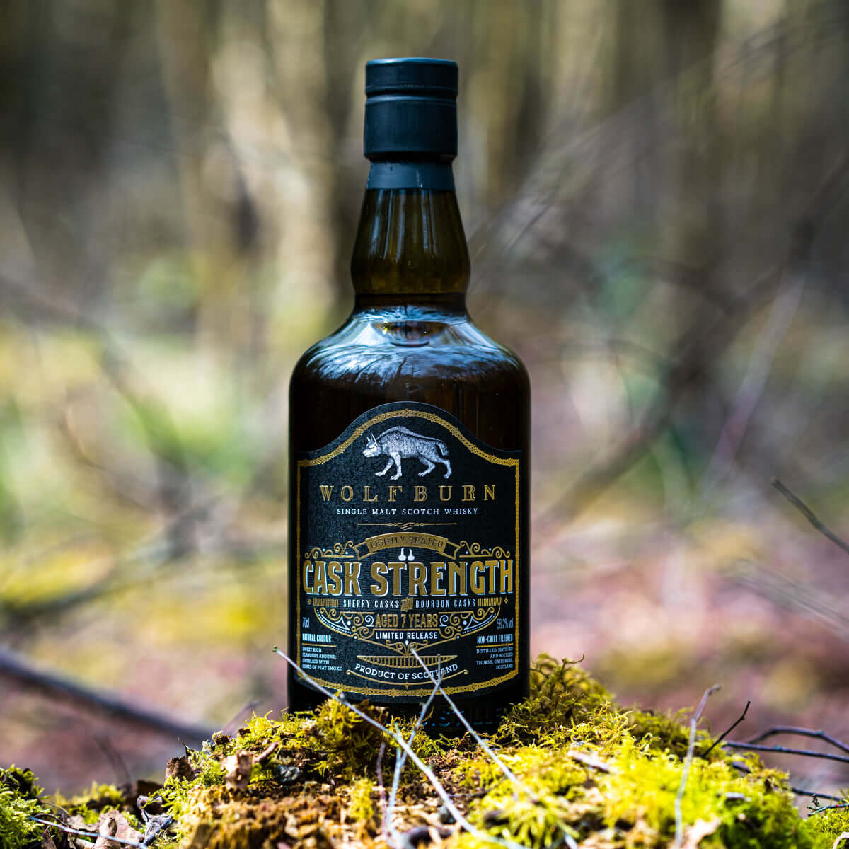 Cask Strength Single Malt Whisky bottle from Wolfburn on mossy forest floor, showcasing premium whisky nature.