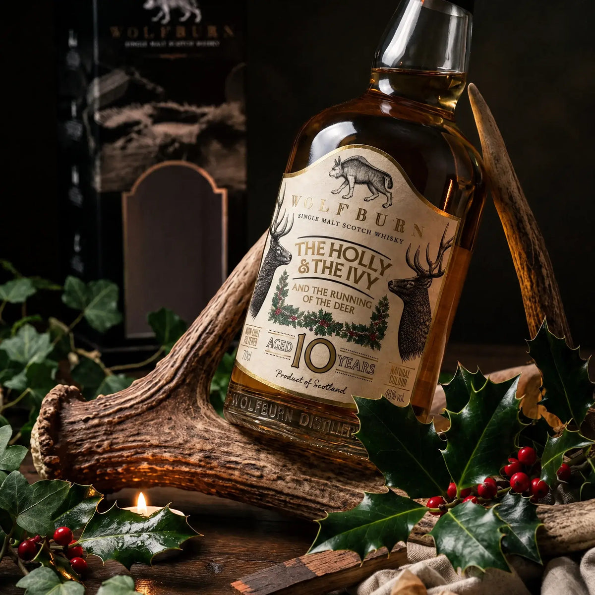 The Holly and The Ivy 10 Year Old single malt resting against a stag antler by candlelight with holly and ivy
