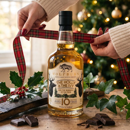 Gift wrapping Wolfburn The Holly and The Ivy Christmas whisky with tartan ribbon beside dark chocolate